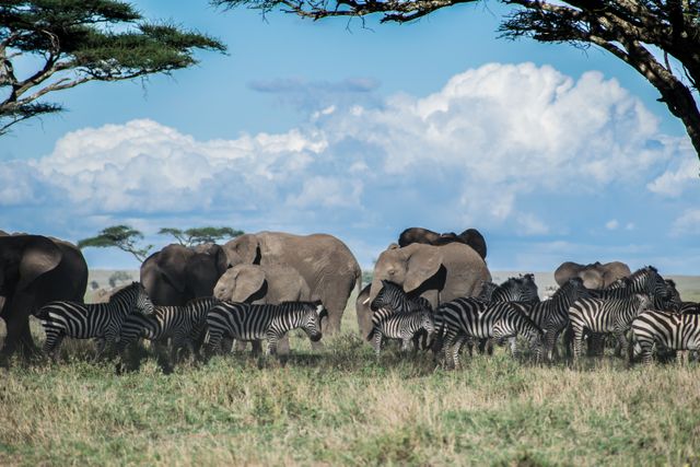 Tanzania & Zanzibar Beach Week